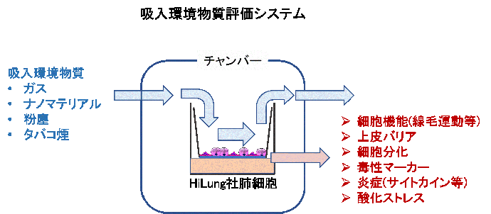 HiLung画像3