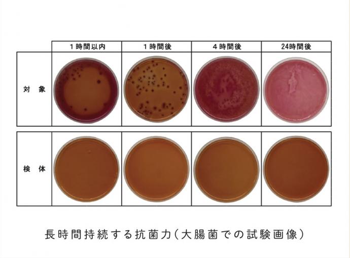 画像：長時間持続する抗菌力（大腸菌での試験画像）