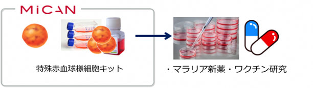 画像:MiCAN(特殊赤血球様細胞キット）→マラリア新薬・ワクチン研究