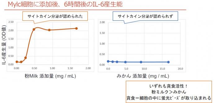 結果のグラフ