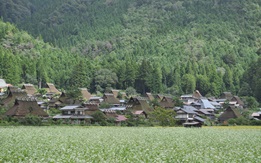 かやぶき風景