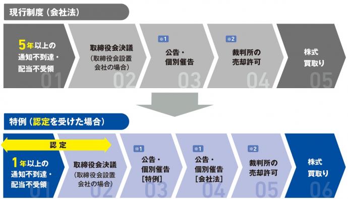 流れ(会社法特例)