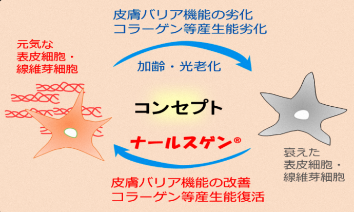 図:ナールスゲンコンセプト。皮膚バリア機能の改善、コラーゲン等産生能復活