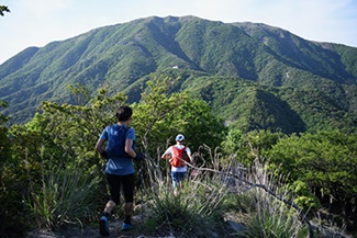 山