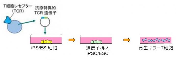 説明図