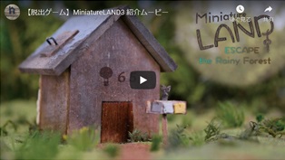 Miniature LAND 3