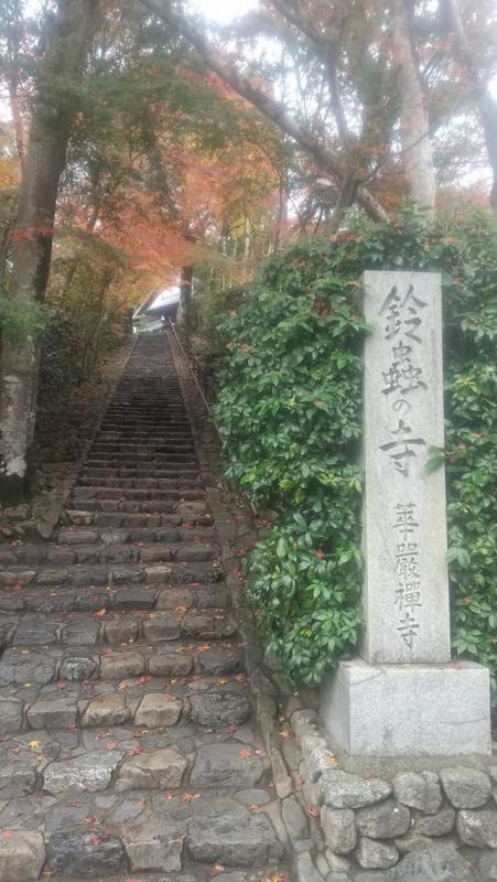 鈴虫寺階段