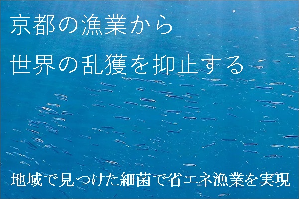 ホロバイオです