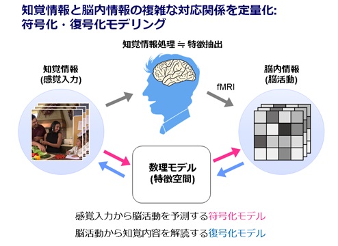 研究概要