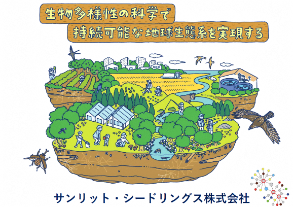 画像１