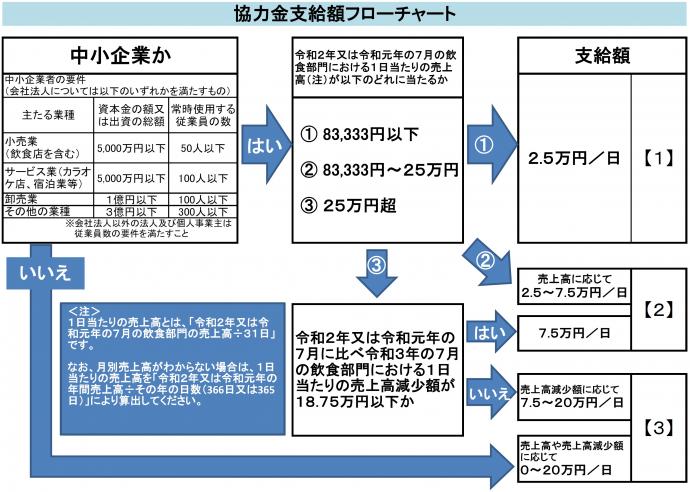 13sikyugaku-flowchart