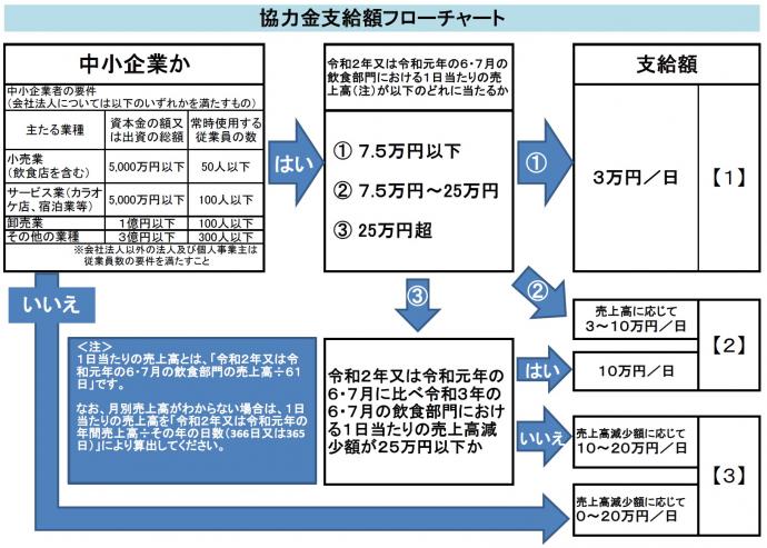 i12sikyugaku-flowchart