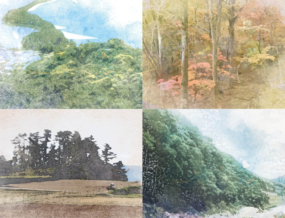 京都府の自然生態系をイメージしたイラスト