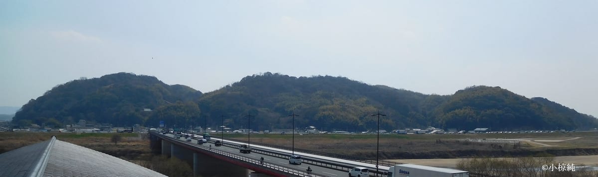 今日の男山（さくらであい館展望塔より　2025年3月21日撮影）