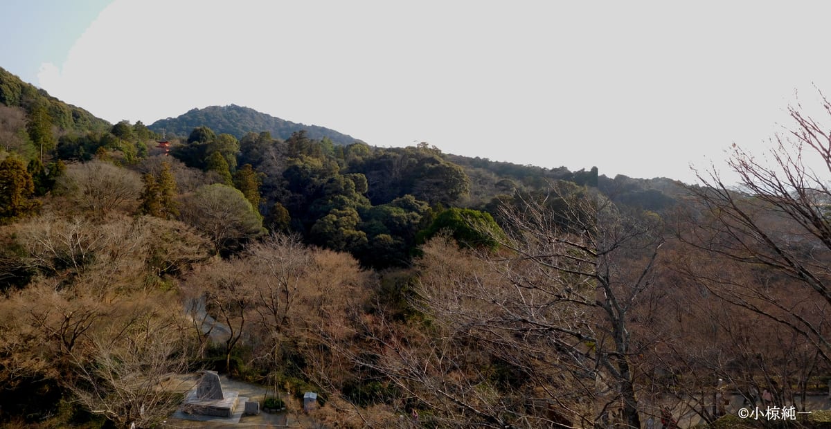 視点A付近から南方を見た現況（2025年3月21日撮影）