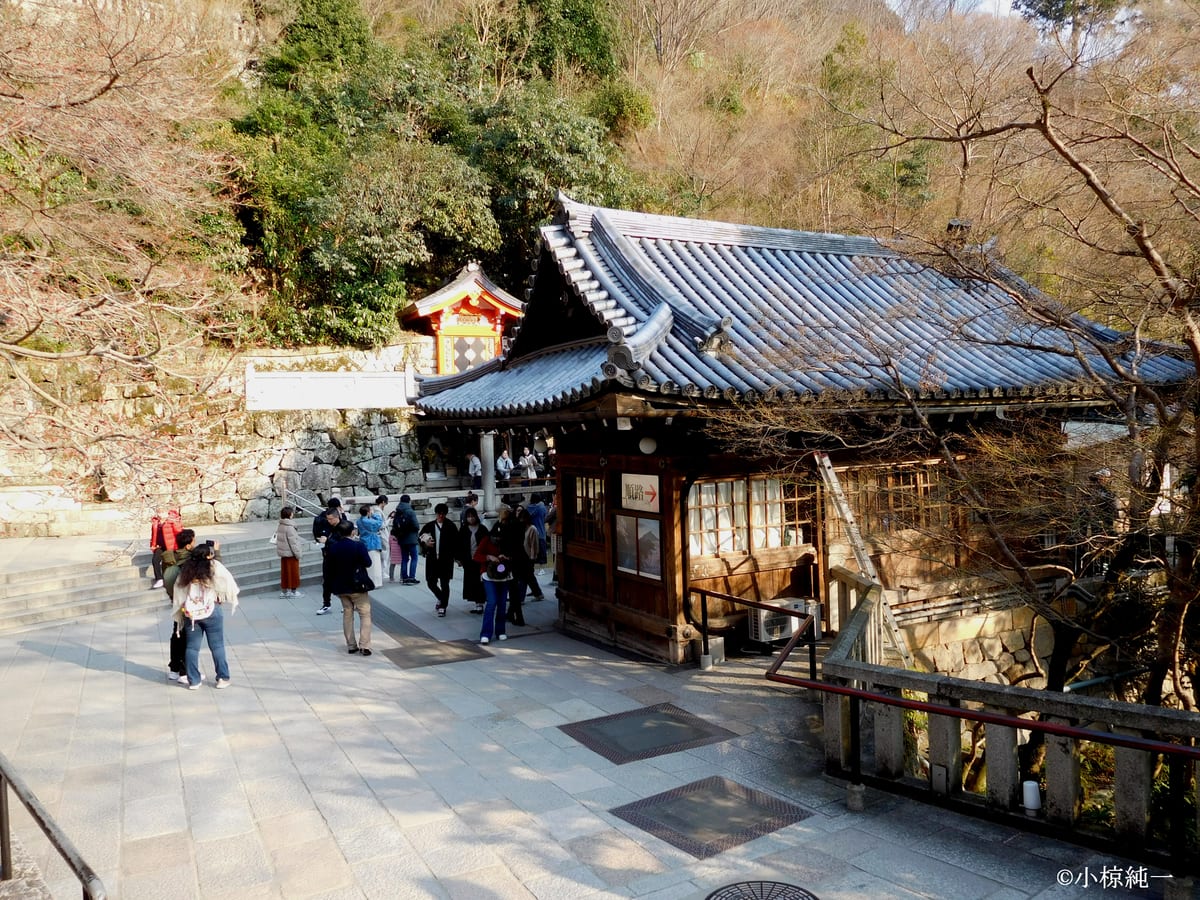 視点B付近から音羽の滝の方を見た現況（音羽の滝は右手の建物の後ろに小さく見える 2025年3月21日撮影）