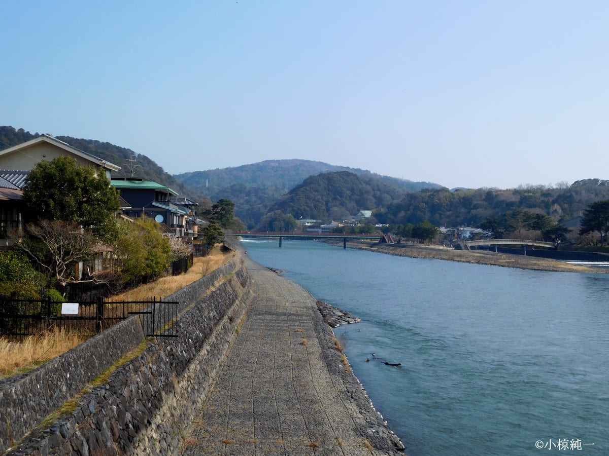 宇治橋北東端から宇治川上流方面を望む（2025年3月21日撮影）