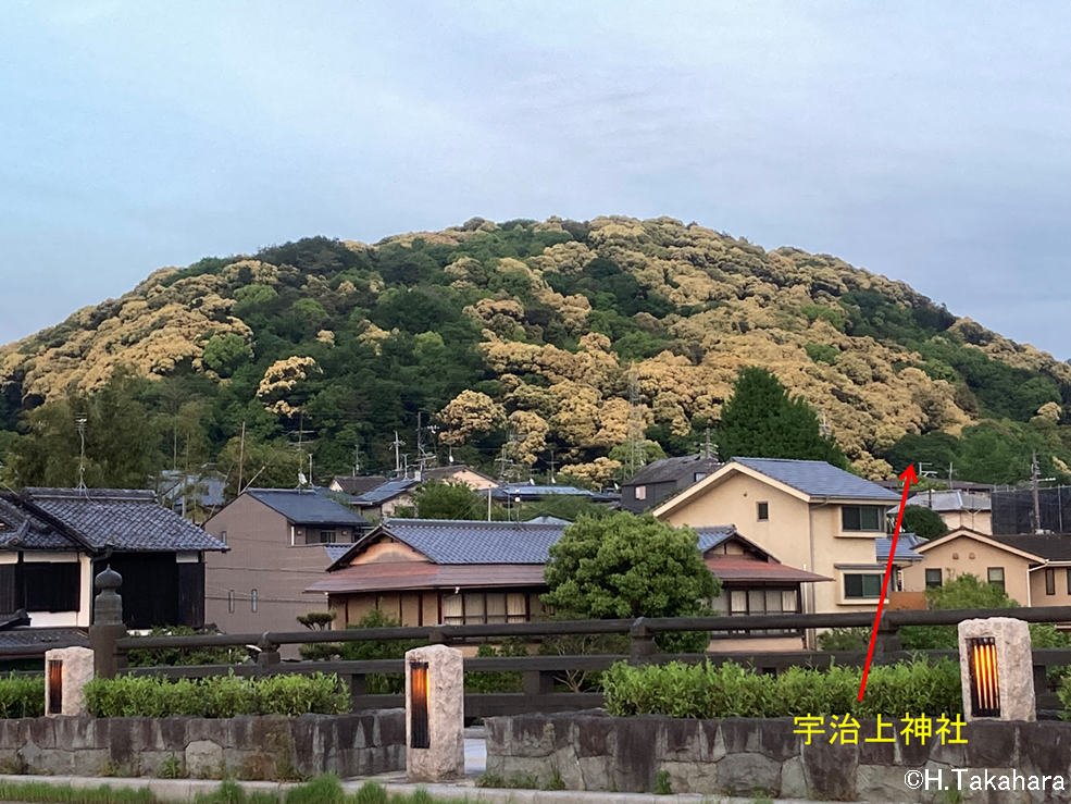 図13　大吉山（2025年4月28日 高原撮影）