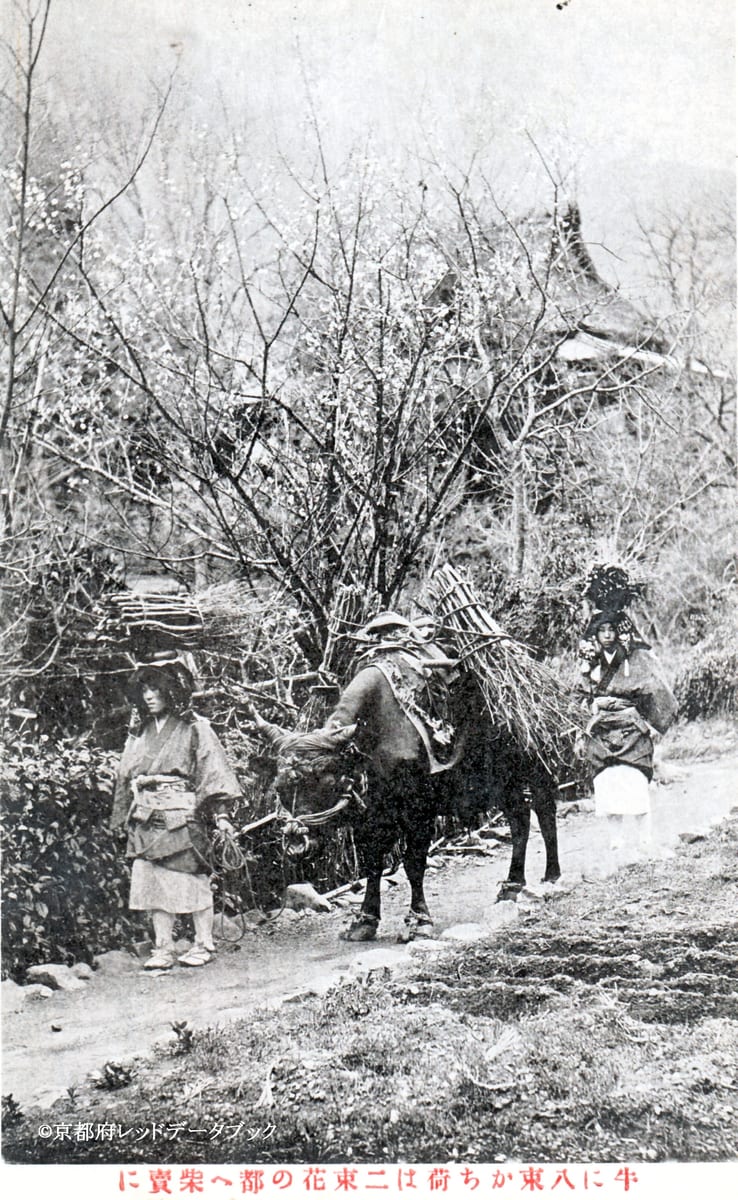 写真10　背に薪を八束載せた牛を牽き、自らは薪を二束頭上にいただいている小原女（八瀬の女性）。1918年～1933年。