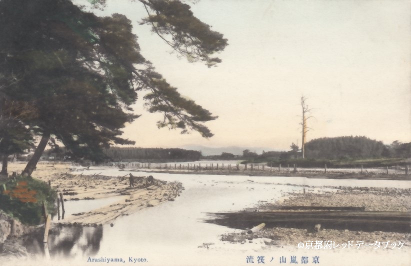 写真5　桂川の渡月橋下流の貯木場。背後に見えるのは罧原堤。1907年～1918年。