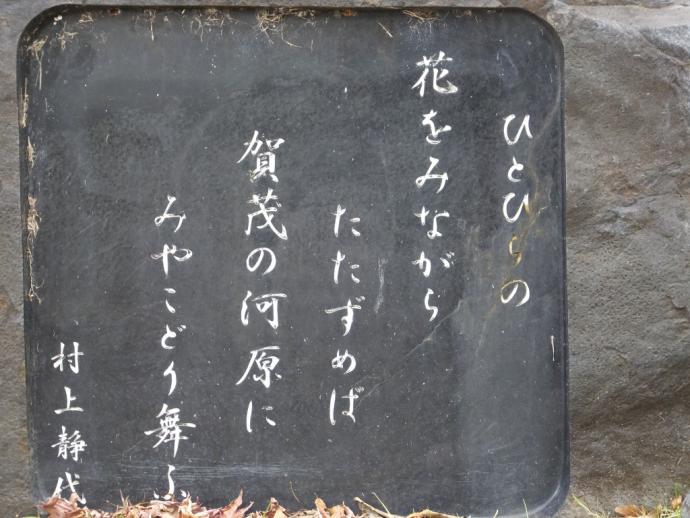 2015fuyu5