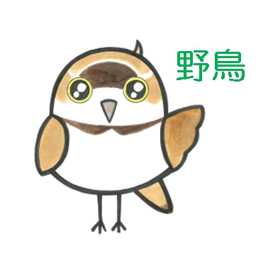 野鳥