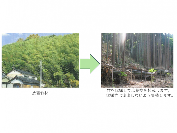 竹林整備