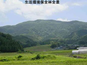 温江の生活環境保全林全景