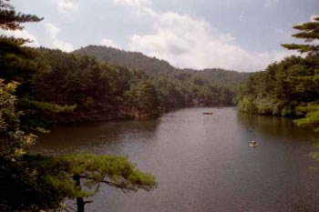 通天湖の風景