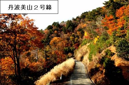 丹波美山2号線