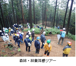 山城 森林・林業体感ツアーの写真