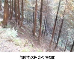 ふれあい改