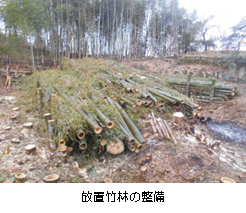 府民参加型里山（事業の写真）