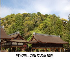 京の森林文化（事業の写真）