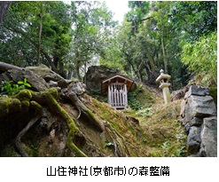 京の森林文化事業