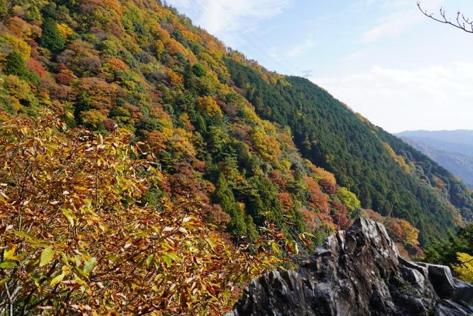 岩壁からの景色