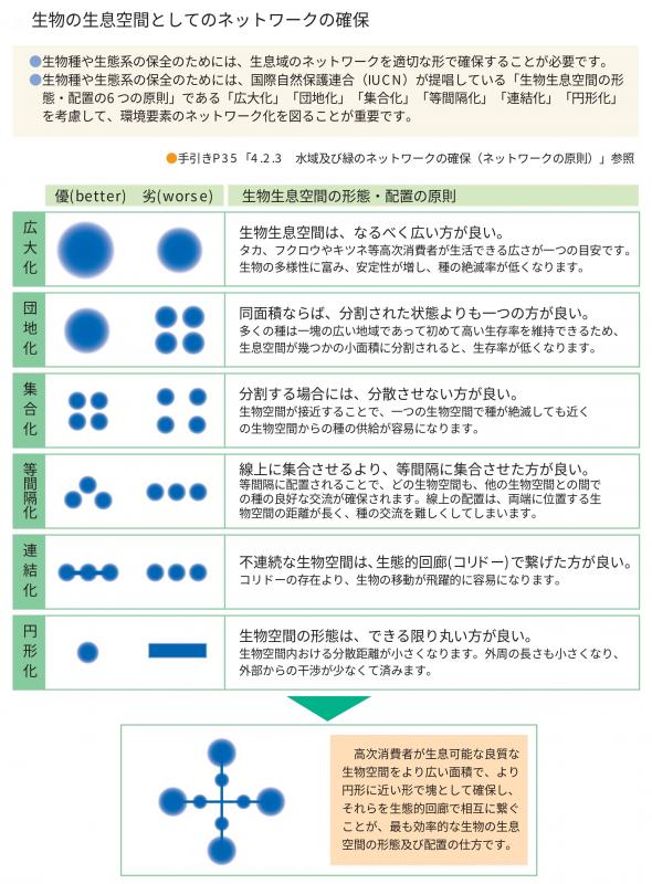 生物空間としてのネットワーク