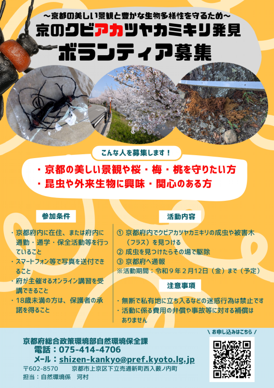 募集チラシ