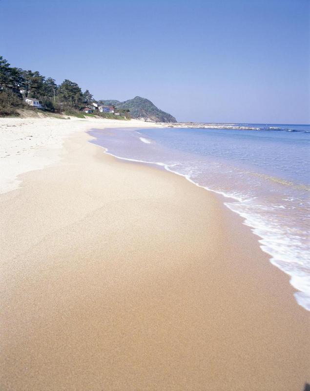 琴引浜