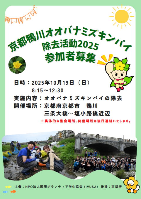 IVUSAオオバナチラシ表