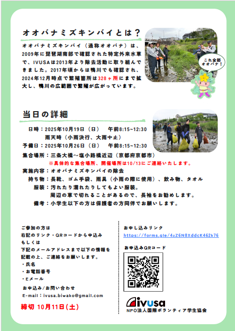 IVUSAオオバナチラシ裏