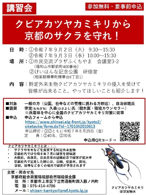 チラシ