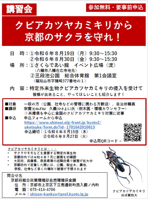 チラシ