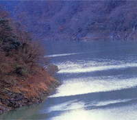 天ヶ瀬ダム湖