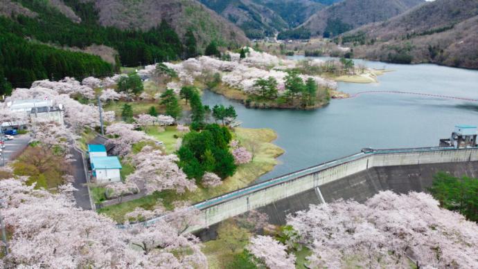 大野ダム