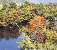 和知ダム湖