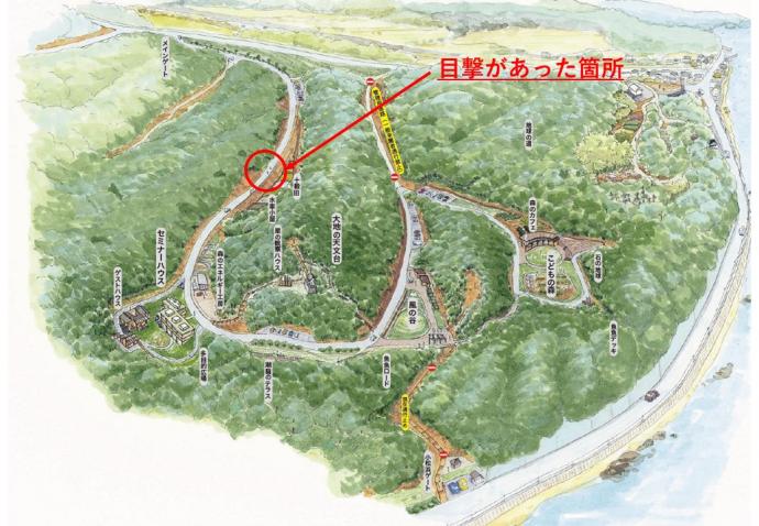 目撃場所