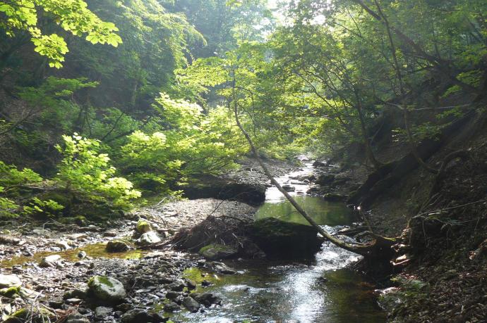 由良川源流