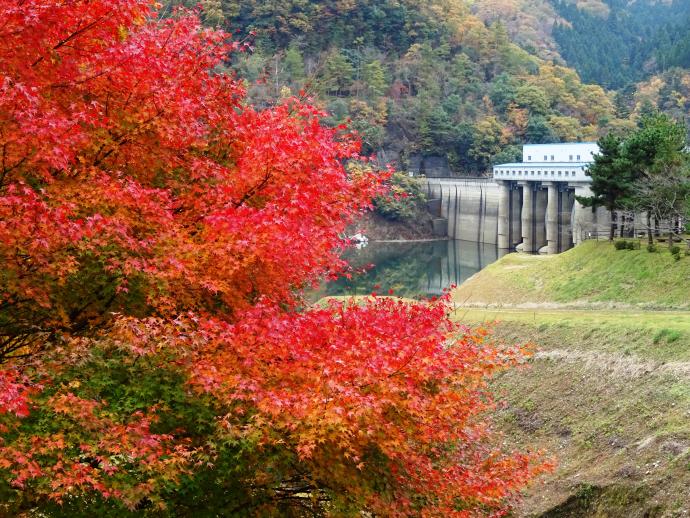 Miyama：Ohno Dam Park, Photos