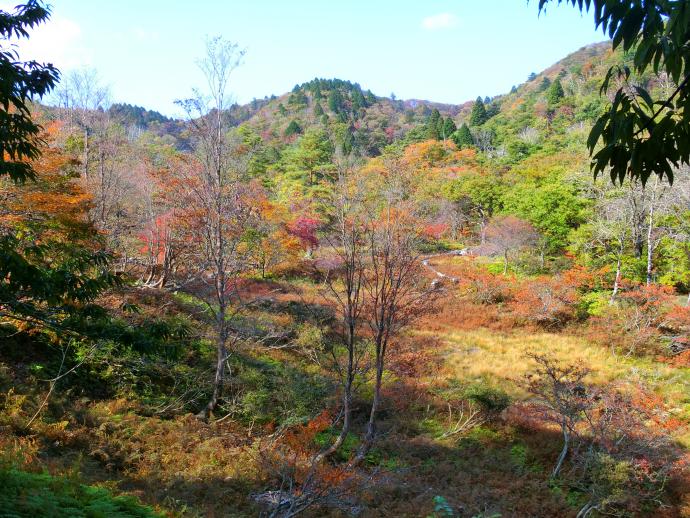 八丁平紅葉